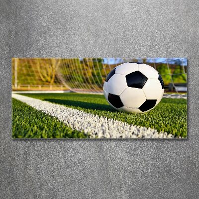 Cuadro metacrilato horizontal El balón está en la portería.