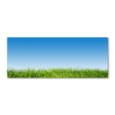 Foto en metacrilato horizontal Césped