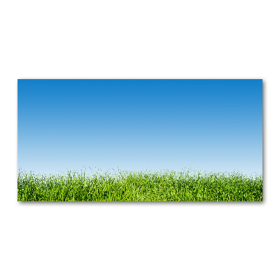 Foto en metacrilato horizontal Césped