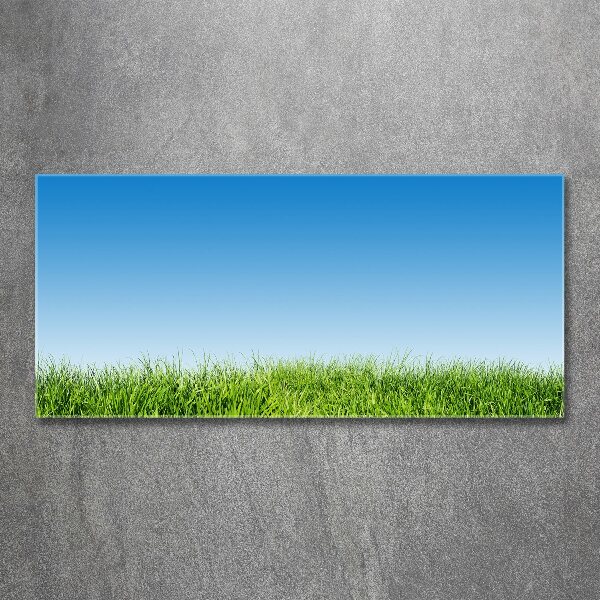Foto en metacrilato horizontal Césped