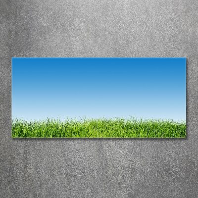 Foto en metacrilato horizontal Césped