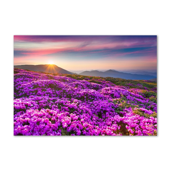 Cuadro acrílico horizontal Flores en las montañas