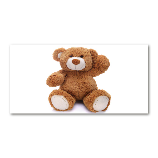 Foto en metacrilato horizontal Oso de peluche