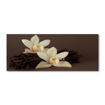 Pintura en acrílico horizontal vainas de vainilla