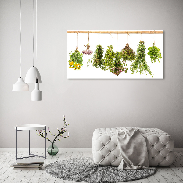 Cuadro metacrilato horizontal Hierbas en una cuerda