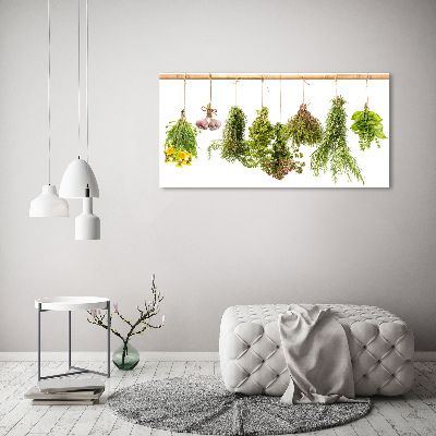 Cuadro metacrilato horizontal Hierbas en una cuerda