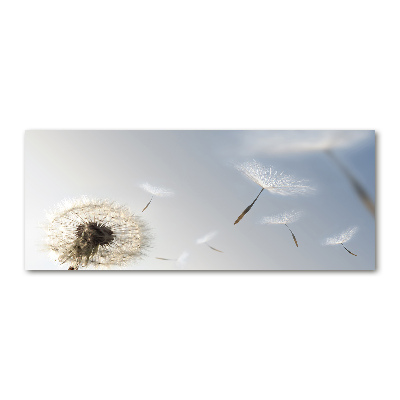 Cuadro acrílico horizontal Diente de león