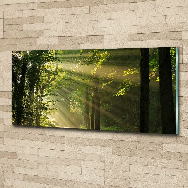 Cuadro acrílico horizontal Bosque al sol