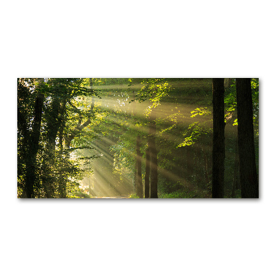 Cuadro acrílico horizontal Bosque al sol