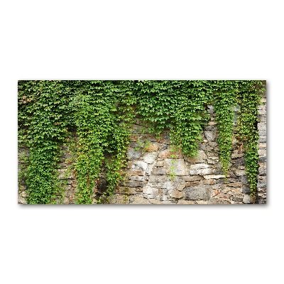 Cuadro acrílico horizontal Hiedra verde