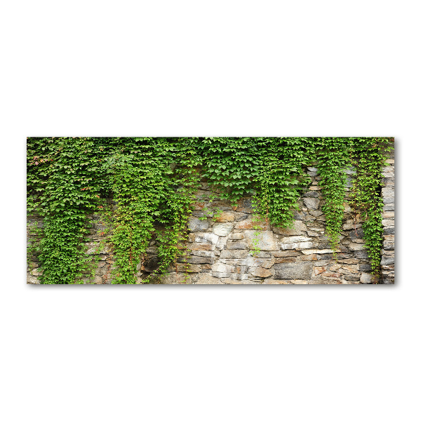Cuadro acrílico horizontal Hiedra verde