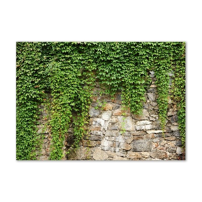 Cuadro acrílico horizontal Hiedra verde