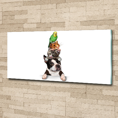 Cuadro acrílico horizontal Un grupo de animales