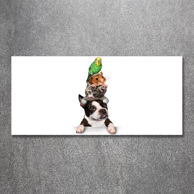 Cuadro acrílico horizontal Un grupo de animales