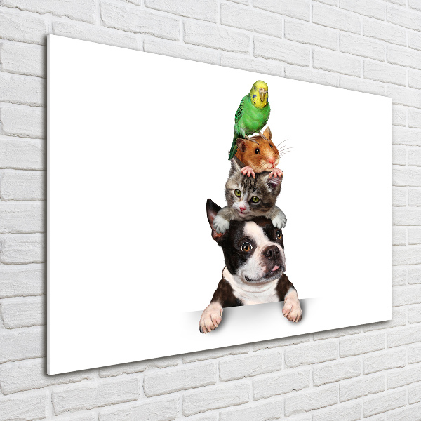Cuadro acrílico horizontal Un grupo de animales