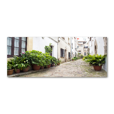 Foto en metacrilato horizontal Una calle con encanto