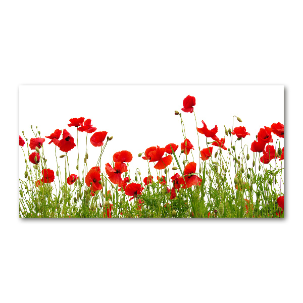 Cuadro acrílico horizontal Amapolas
