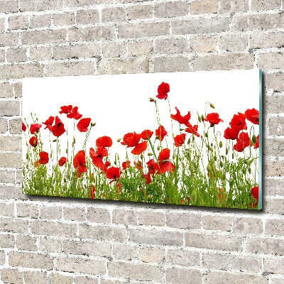 Cuadro acrílico horizontal Amapolas