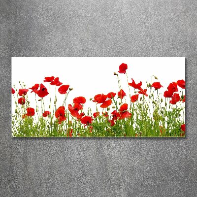 Cuadro acrílico horizontal Amapolas