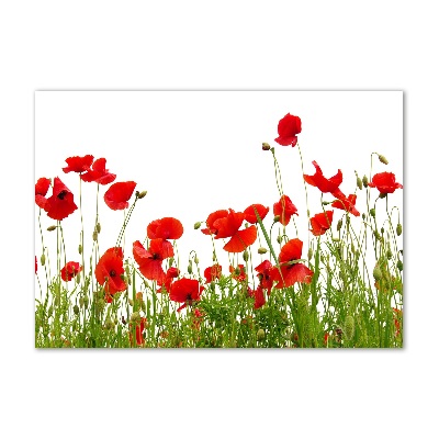 Cuadro acrílico horizontal Amapolas