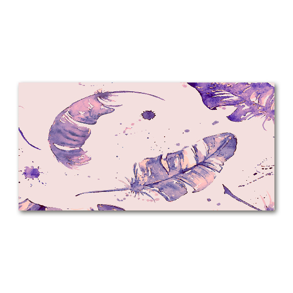 Foto en metacrilato horizontal plumas