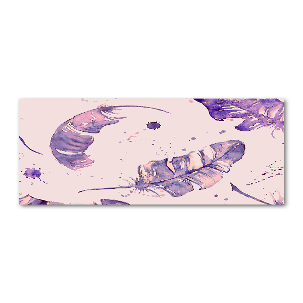 Foto en metacrilato horizontal plumas