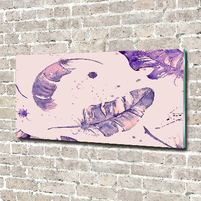 Foto en metacrilato horizontal plumas