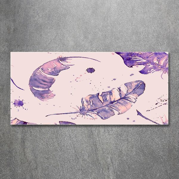 Foto en metacrilato horizontal plumas