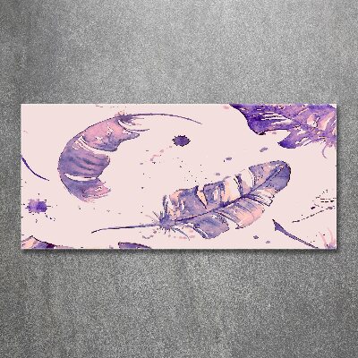 Foto en metacrilato horizontal plumas