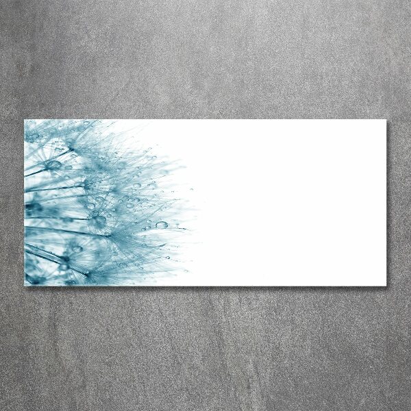 Cuadro metacrilato horizontal Diente de león