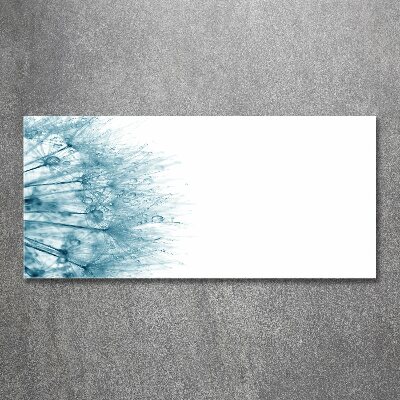 Cuadro metacrilato horizontal Diente de león