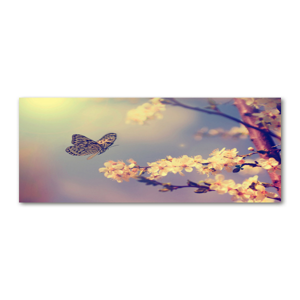 Foto en metacrilato horizontal Flor de cerezo y mariposa