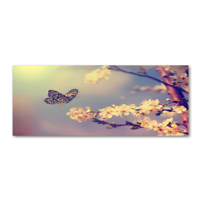 Foto en metacrilato horizontal Flor de cerezo y mariposa