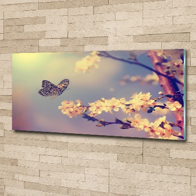 Foto en metacrilato horizontal Flor de cerezo y mariposa