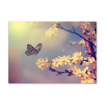 Foto en metacrilato horizontal Flor de cerezo y mariposa