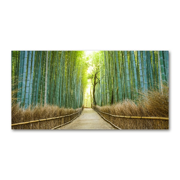 Cuadro acrílico horizontal bosque de bambú