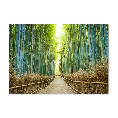Cuadro acrílico horizontal bosque de bambú