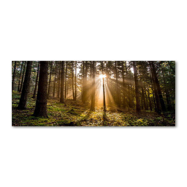 Pintura en acrílico horizontal Luz del sol