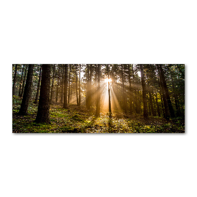 Pintura en acrílico horizontal Luz del sol