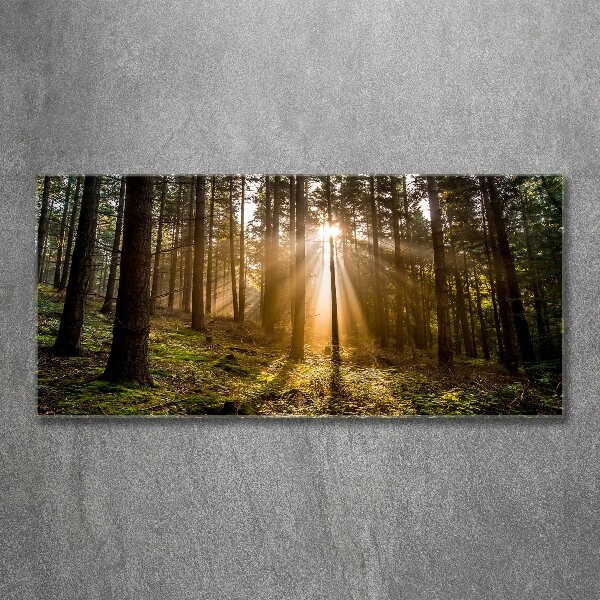 Pintura en acrílico horizontal Luz del sol