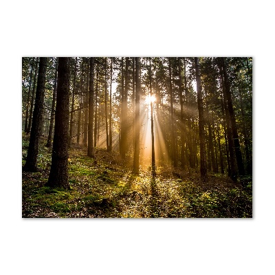 Pintura en acrílico horizontal Luz del sol