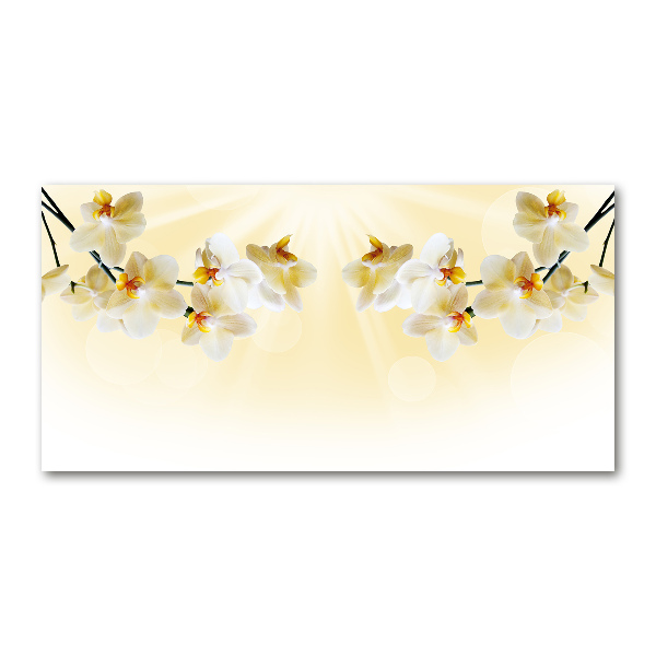 Cuadro metacrilato horizontal Orquídea