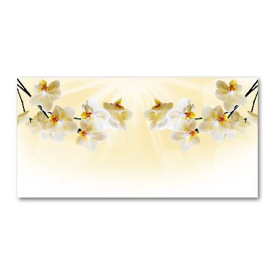 Cuadro metacrilato horizontal Orquídea