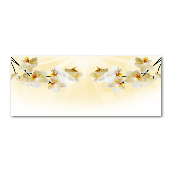 Cuadro metacrilato horizontal Orquídea
