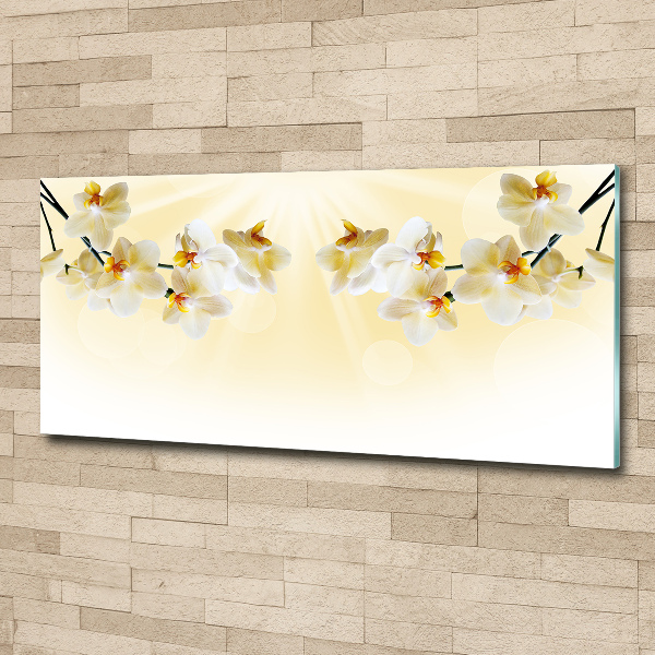 Cuadro metacrilato horizontal Orquídea