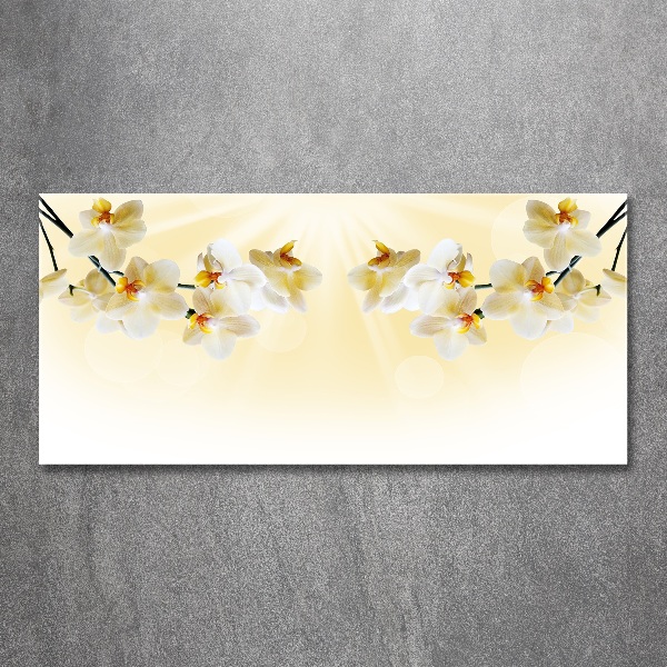 Cuadro metacrilato horizontal Orquídea