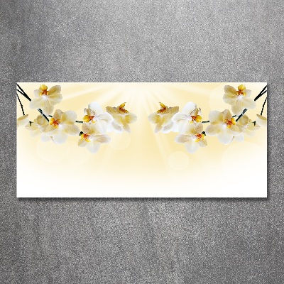 Cuadro metacrilato horizontal Orquídea