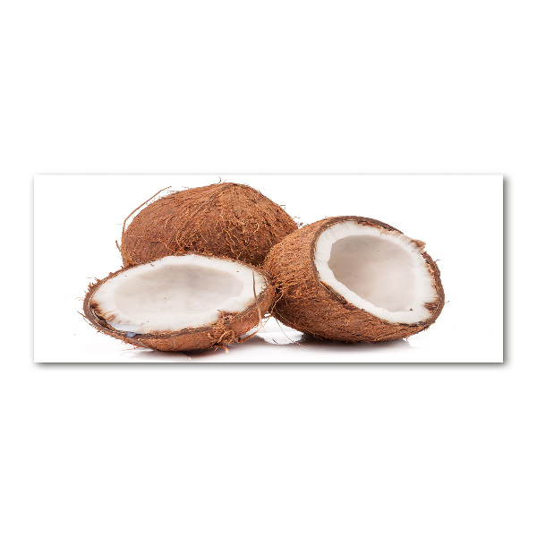 Cuadro acrílico horizontal Coco