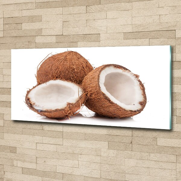 Cuadro acrílico horizontal Coco