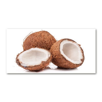 Cuadro acrílico horizontal Coco